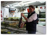 Lei Yue Mun Seafood Bazaar