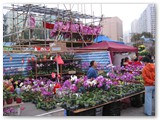 Lunar New Year Fair
